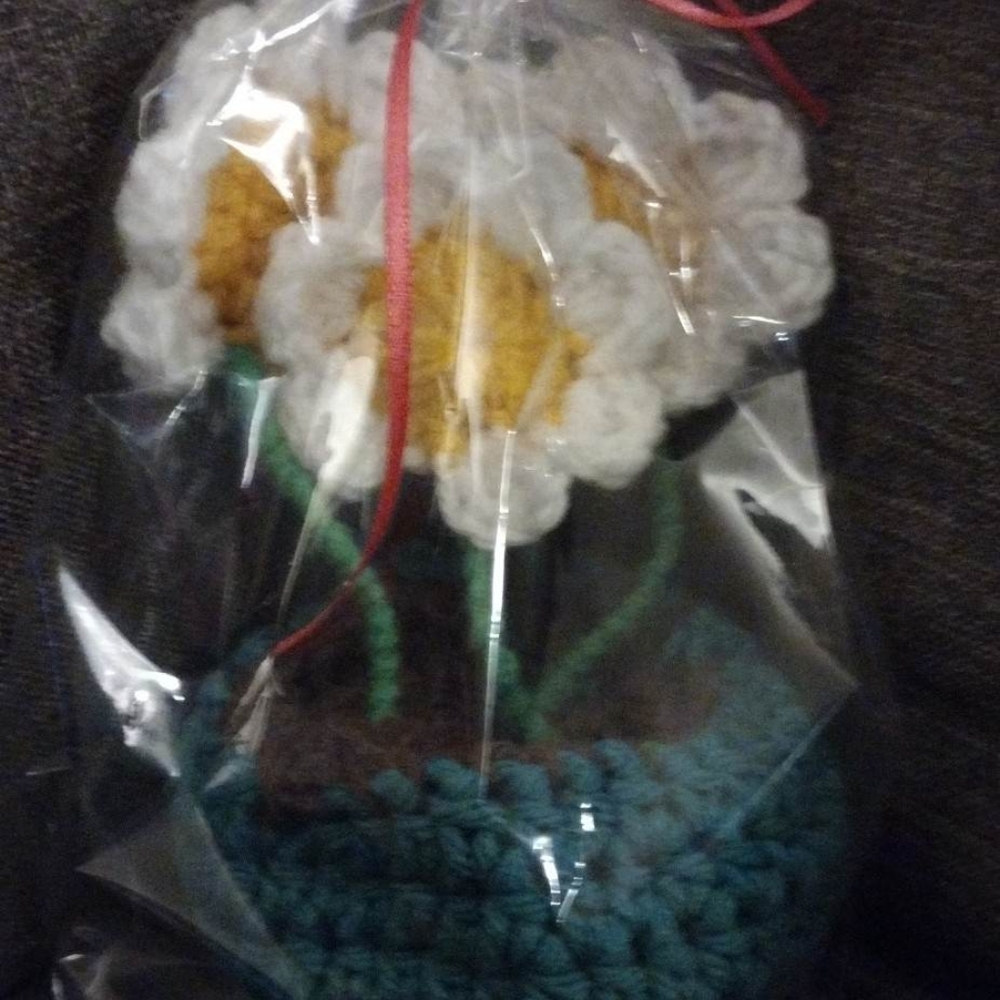 Crochet Flower Pots - Picture 2 of 2